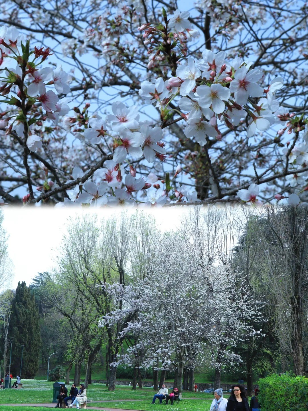 post_image