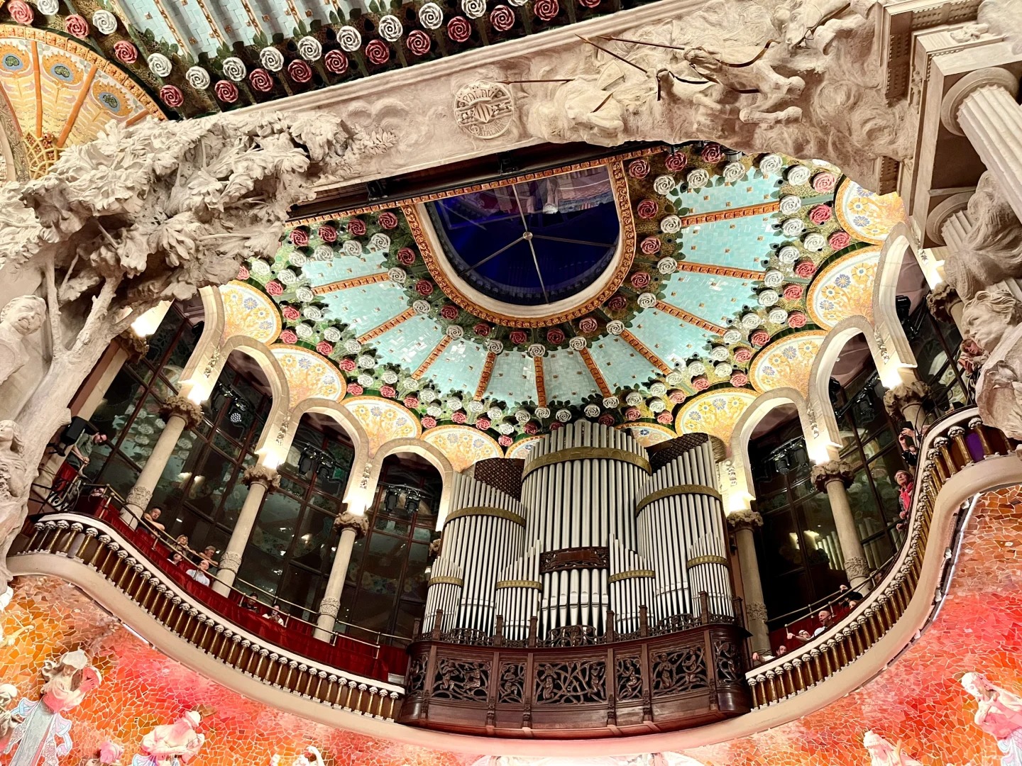 🎼 Watching Flamenco Under the Bloom of Three Thousand Roses 🥹🥀