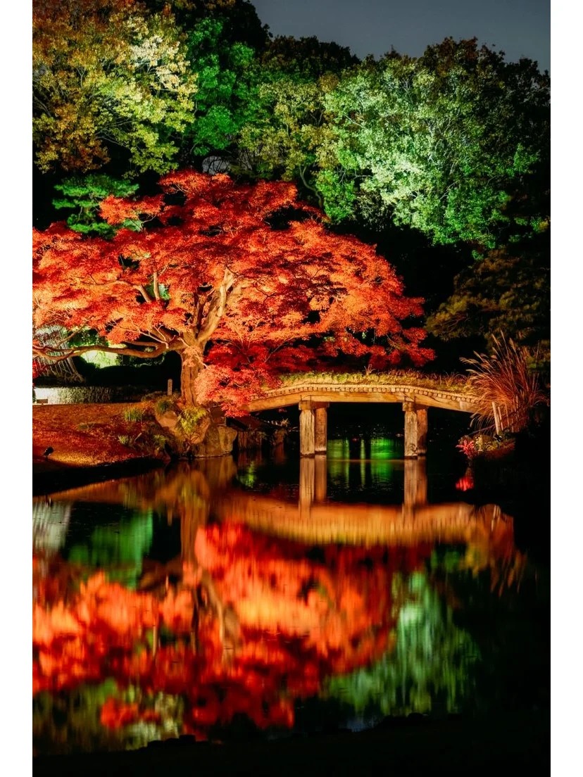 post_image