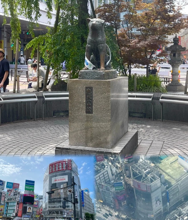 post_image
