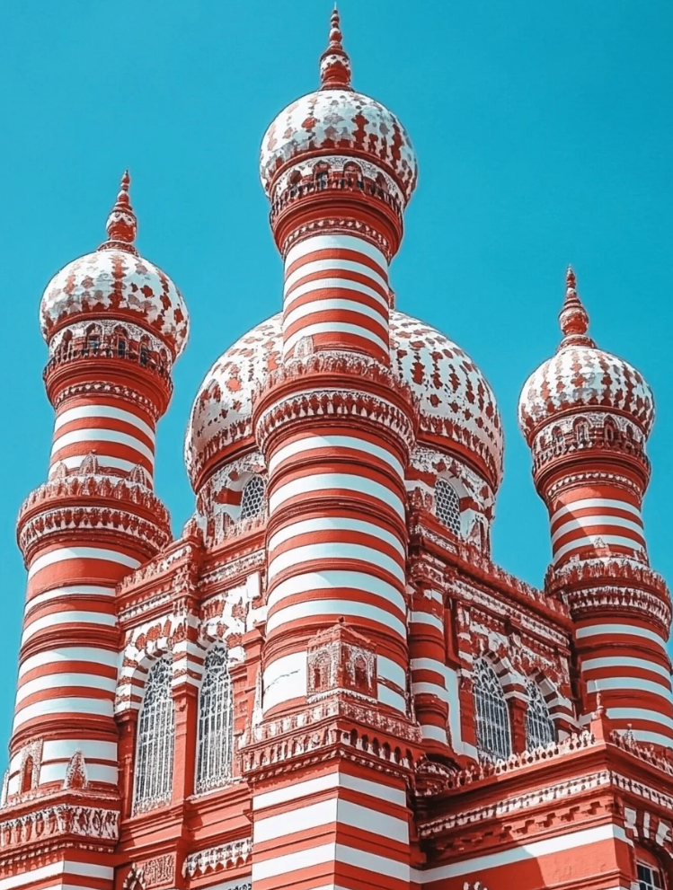 🌺 ​​Sri Lanka｜A Solo Traveler's Paradise​​ ✨