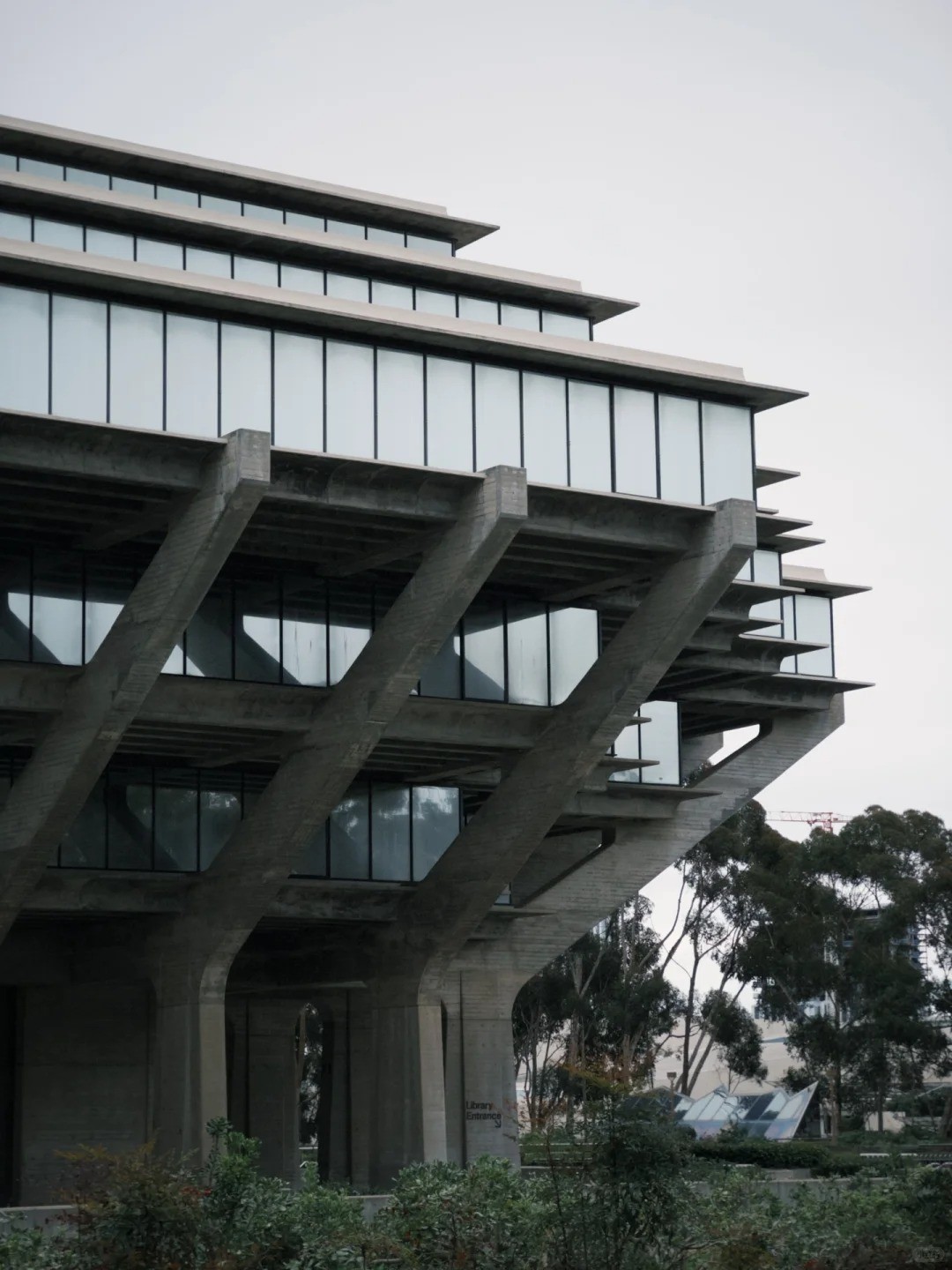 San Diego Travel Guide 🐚 Non-Park Edition