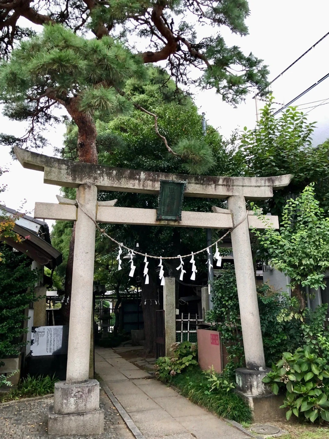 post_image